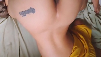 A Collection Of My Husband'S Favorite Whores, Slaves, And Creampies